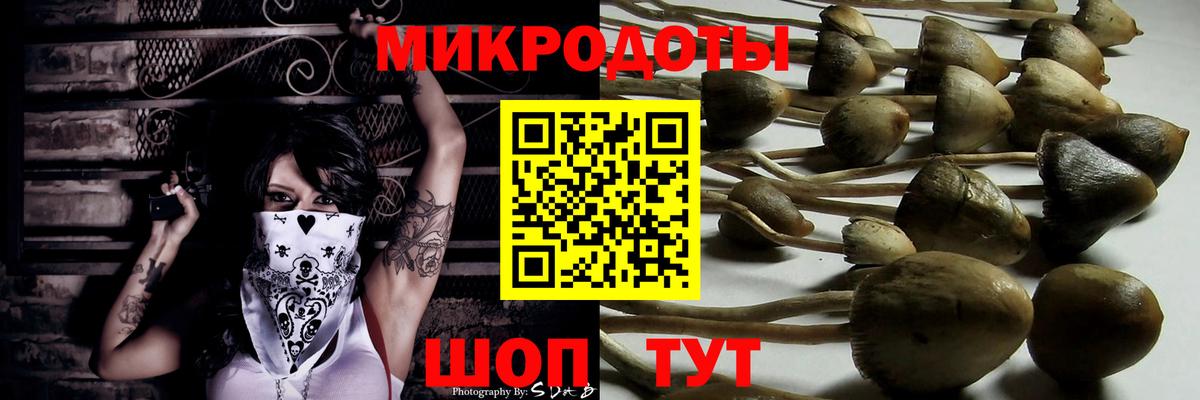 Псилоцибиновые грибы прущие грибы  Вход с VPN  Тверь 